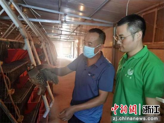 朱波(右一)指导鹧鸪养殖 学校供图 朱波(右一)指导鹧鸪养殖 学校供图