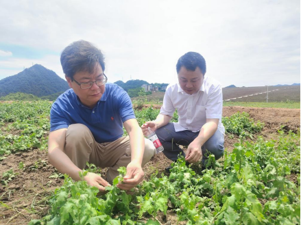 c5afb6b08f36b6e9f79488847b35d3f8.png c5afb6b08f36b6e9f79488847b35d3f8.png